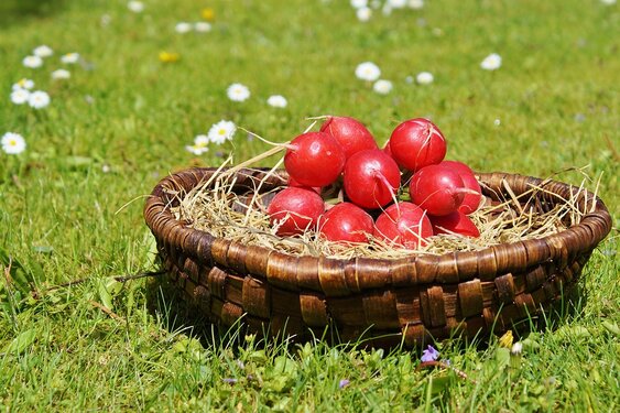 Météo Tarbes. soleil jeudi et vendredi, pluies et orages ce week end