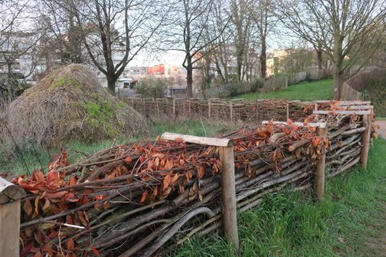 Read more about the article The not so dead, dead hedge.