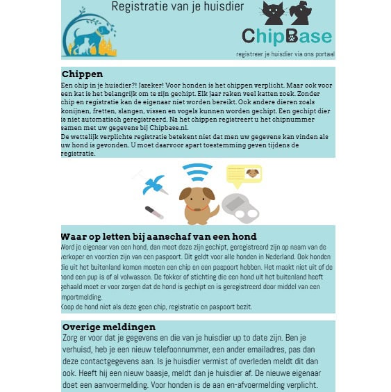 Promotie Flyer Chipbase