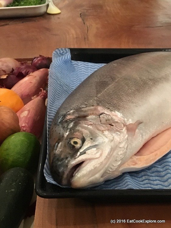 Super fresh, bright eyes fjord-trout Super fresh, bright eyes fjord-trout