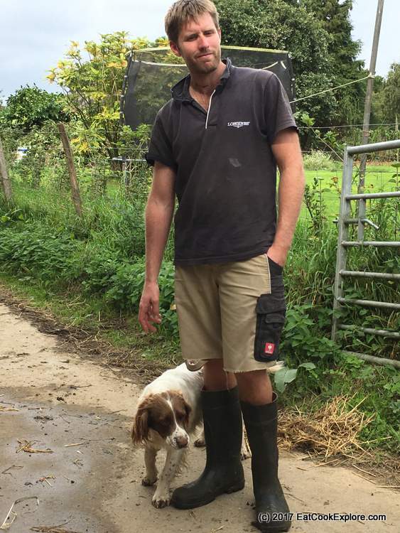 Organic Dairy Farm