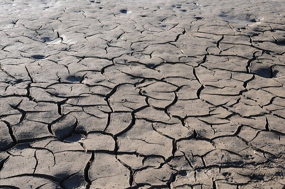 fortes chaleurs et canicule à partir de mercredi