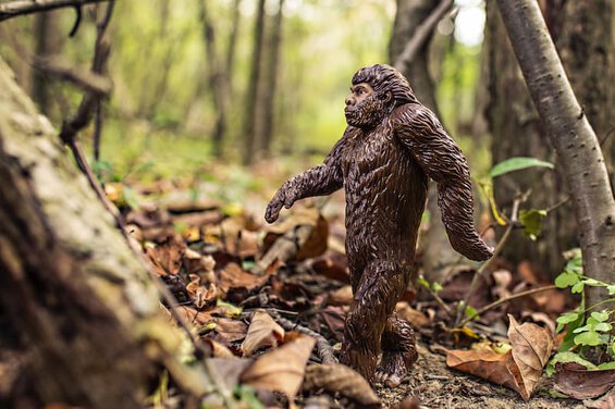 neandertal