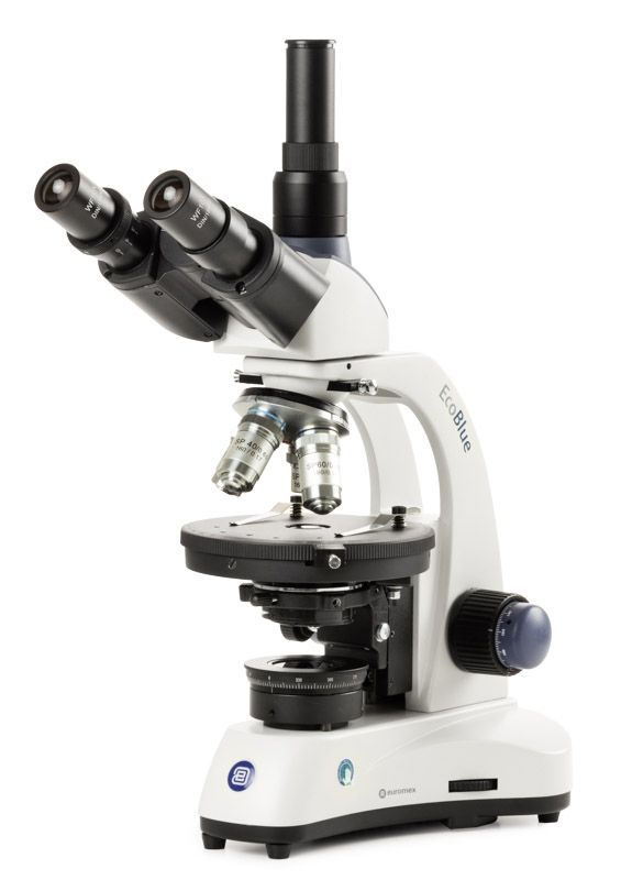 Microscopio EcoBlue, Trinocular EC.1603-P-HLED-S