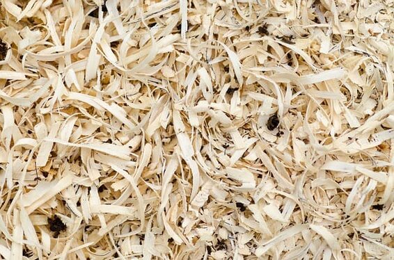 what is sawdust what is sawdust