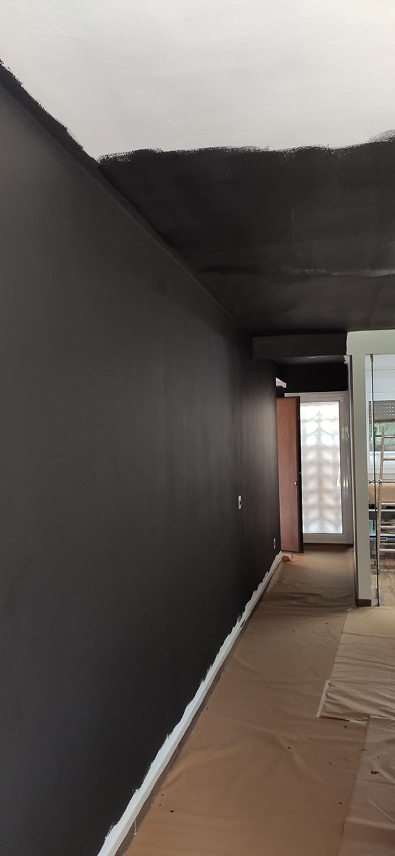 Aplicació de pintura apantallant i acabat amb pintura de silicat, Ecomatèries