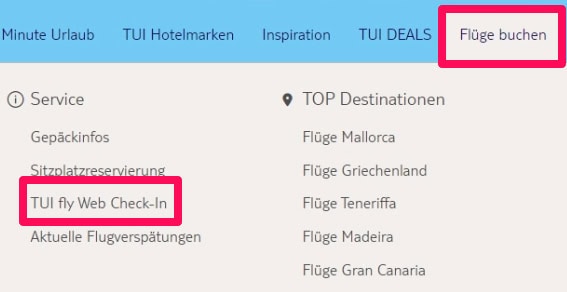 Web Check-in wählen