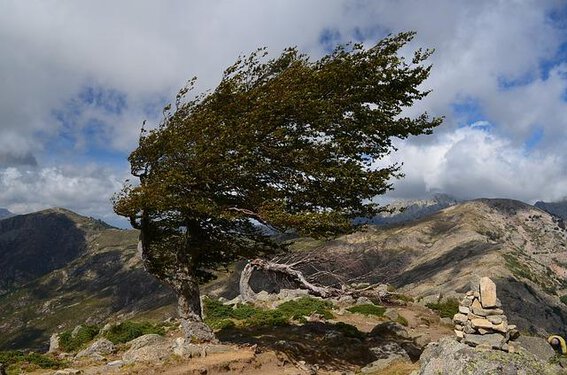 Alerte aux vents violents dans les Hautes Pyrénées
