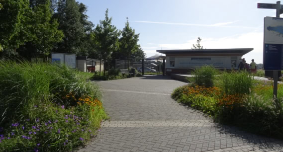 Pflanzung Unterbachersee in Duesseldorf