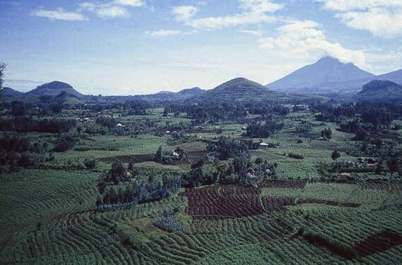 Congo 
Democratic 
Republic 
Africa
Zaire 
South of Sudan 
Burundi 
Central African Republic 
Uganda 
Angola 
Zambia 
Tanzania 
Kinshasa 
diamond 
gold 
Oil 
wildlife 
elusive okapi 
Congolese Peafowl
bonobos 
Bongo 
Congolese Peafowl
Chimpanzees 
gorillas 
waterfalls 
Valcanos 
Mbuti Pygmies 
Virunga 
UNESCO 
world heritage 
Albert National Park 
leopards 
lions 
elephants 
hippopotamus 
Mount Nyiragongo 
Rumangabo 
Nyiragongo 
Rwanda 
Serengeti
Masai Maraa 
Kahuzi Biega National Park 
Lomako Yokokala Faunal Reserve 
Mandaka 
Dimba Cave
Matupi cave 
Thysville caves 
Kakanda malachite caves 