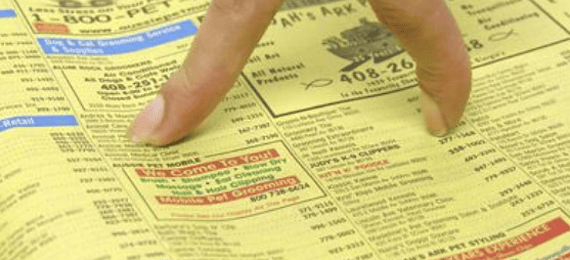 City of Citrus Heights directory illustration