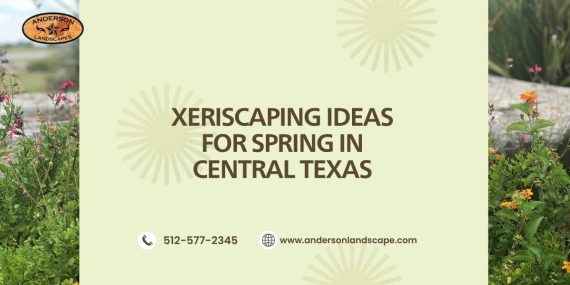Xeriscaping Ideas for Spring in Central Texas