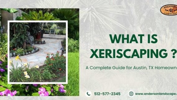 What Is Xeriscaping?
