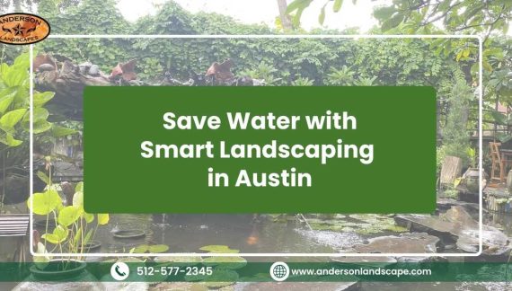 How to Save Water with Smart Landscaping in Austin
