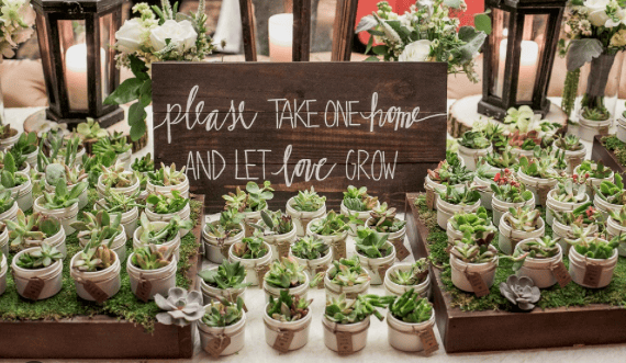 Read more about the article For Better or Earth: 9 Sustainable Eco-Friendly Wedding Ideas