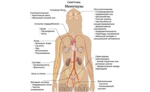 В чем разница между перименопаузой и менопаузой