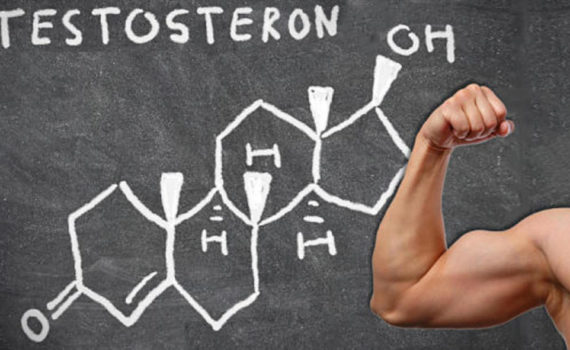 7 продуктов, повышающих уровень Тестостерона