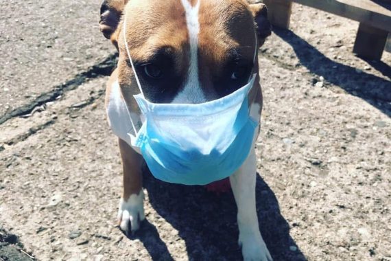 Karanténa nebo špatný vtip??