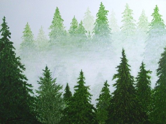 Pine Forest