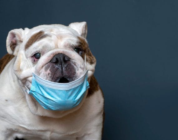 Attorney Adam Miller wearing a mask, fist-bumping a client in a Houston law office