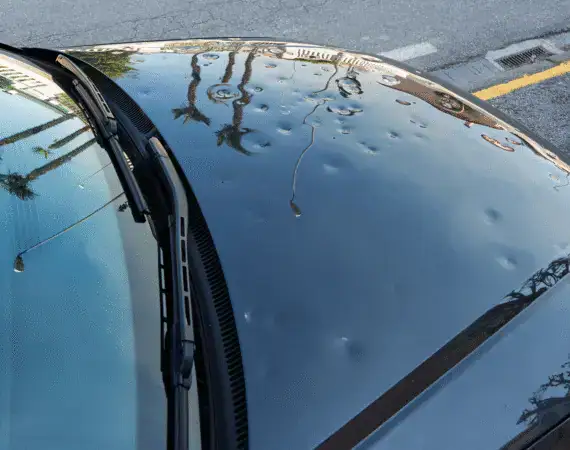 Car hood covered in dents from hail damage – Texas Bulldog property damage insurance claims