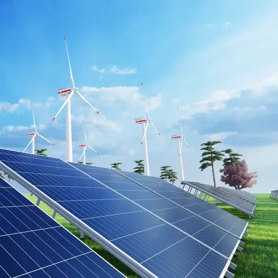 Renewable Energy Division