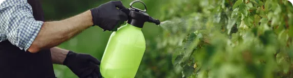 abonos liquidos