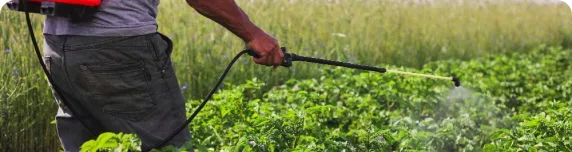 insecticidas