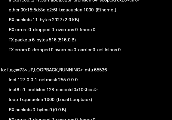 WSL - get ip address