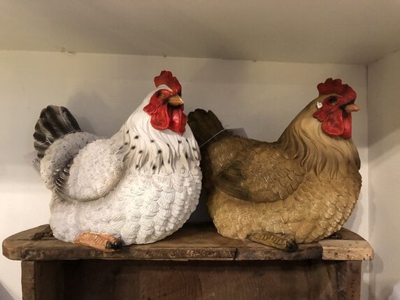 Huhn – Bild 5