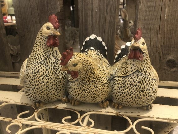 Hühner x3
