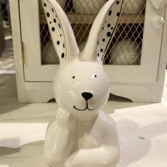 Hase xoxo