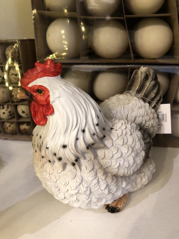 Huhn – Bild 4