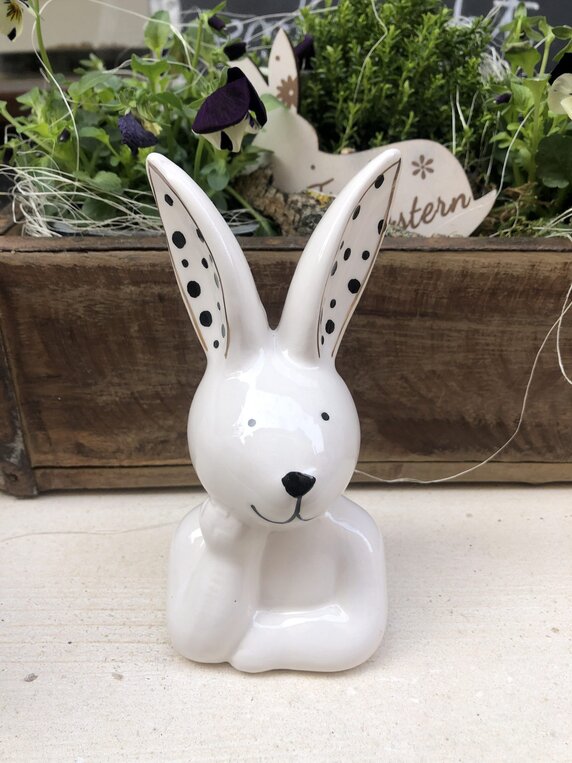 Hase xoxoaus Dolomit