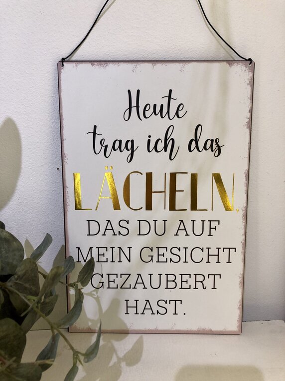 Wandschild Lächeln aus Metall 30x20 cm
