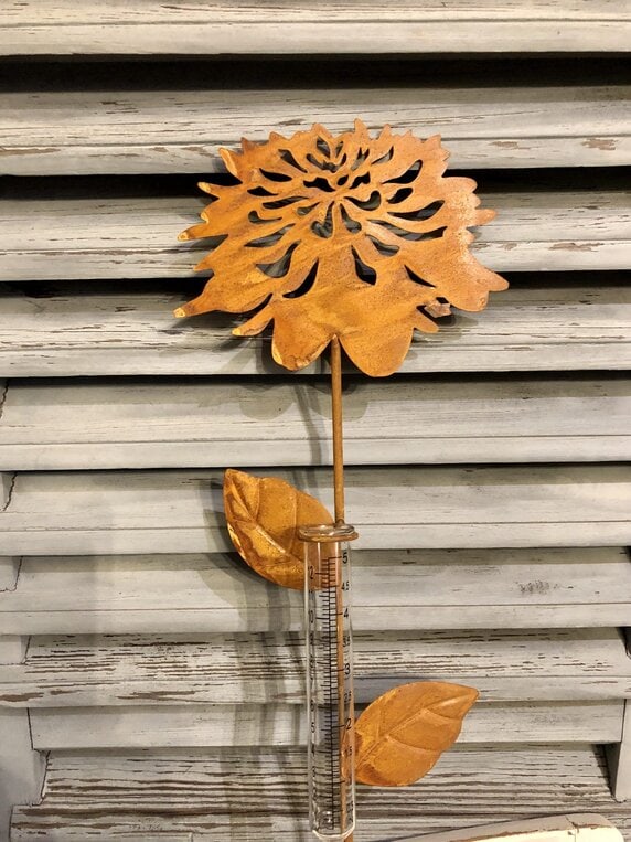 Regenmesser Blume rost