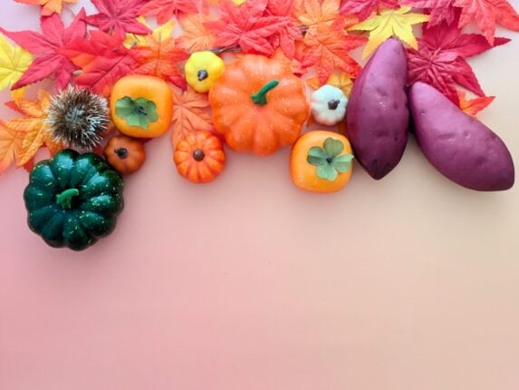 紅葉・芋栗など秋っぽい写真