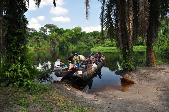 Congo 
Democratic 
Republic 
Africa
Zaire 
South of Sudan 
Burundi 
Central African Republic 
Uganda 
Angola 
Zambia 
Tanzania 
Kinshasa 
diamond 
gold 
Oil 
wildlife 
elusive okapi 
Congolese Peafowl
bonobos 
Bongo 
Congolese Peafowl
Chimpanzees 
gorillas 
waterfalls 
Valcanos 
Mbuti Pygmies 
Virunga 
UNESCO 
world heritage 
Albert National Park 
leopards 
lions 
elephants 
hippopotamus 
Mount Nyiragongo 
Rumangabo 
Nyiragongo 
Rwanda 
Serengeti
Masai Maraa 
Kahuzi Biega National Park 
Lomako Yokokala Faunal Reserve 
Mandaka 
Dimba Cave
Matupi cave 
Thysville caves 
Kakanda malachite caves 