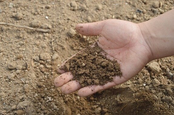 pick an area to sample for soil ph pick an area to sample for soil ph