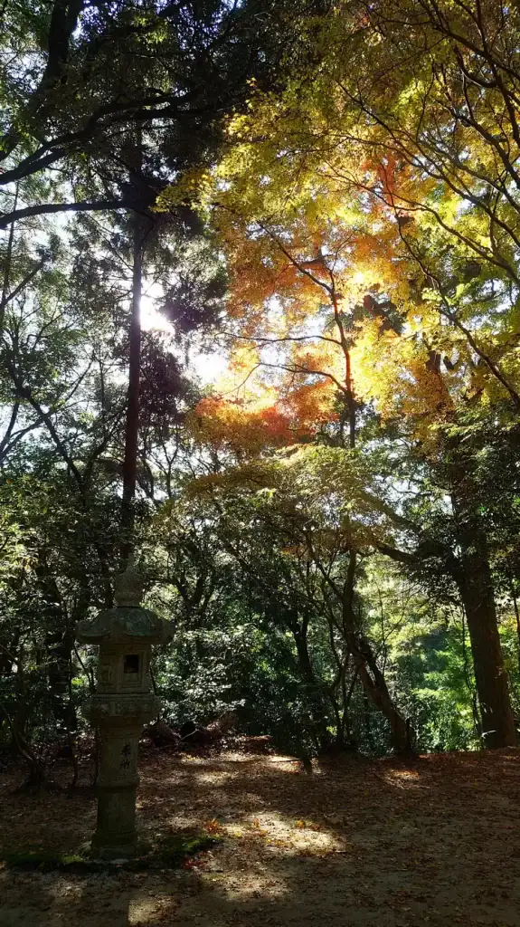 秋月城跡