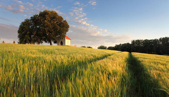 3534farmingcwrj_00000002847.jpg
