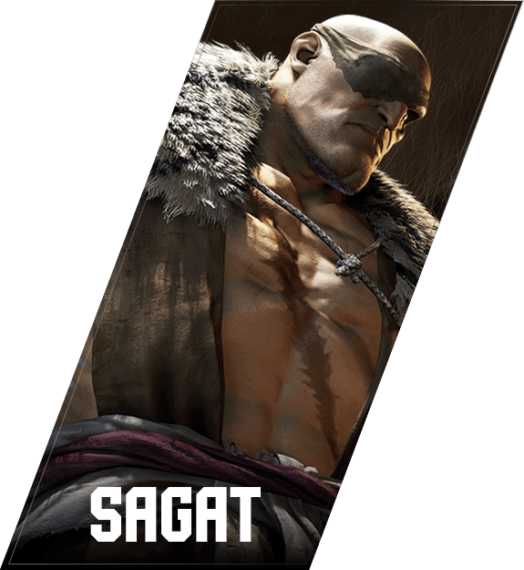 sagat