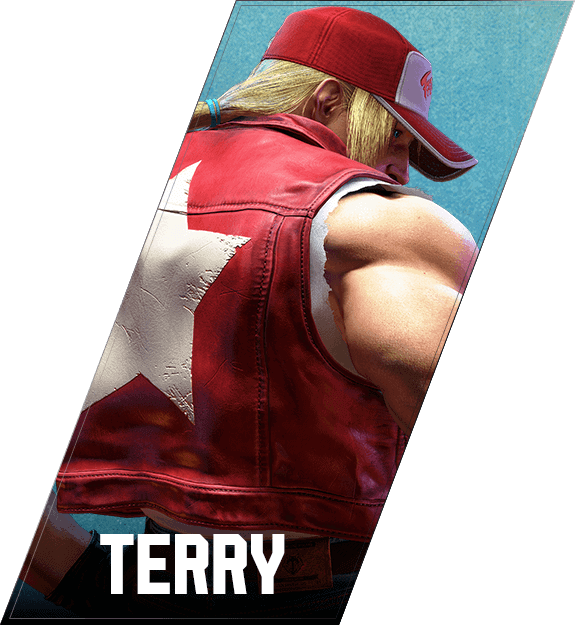 terry