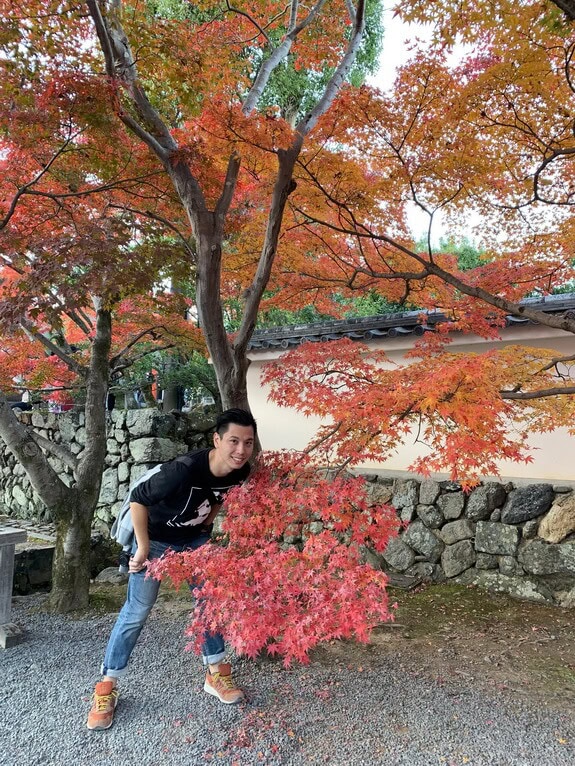 京都天龍寺紅葉