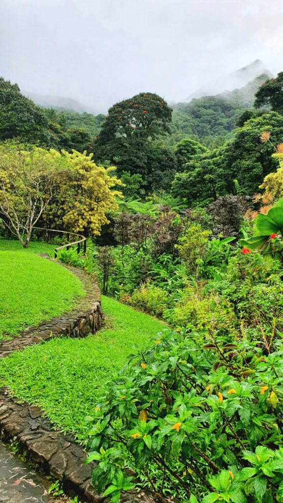 Überblick über den Garten