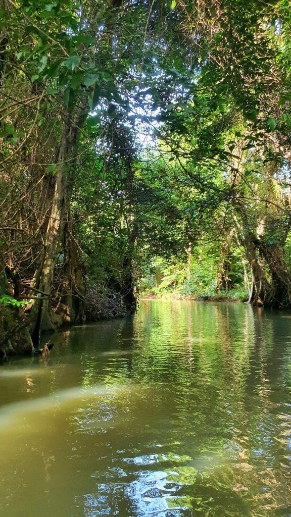 Bootsfahrt auf dem Indien River