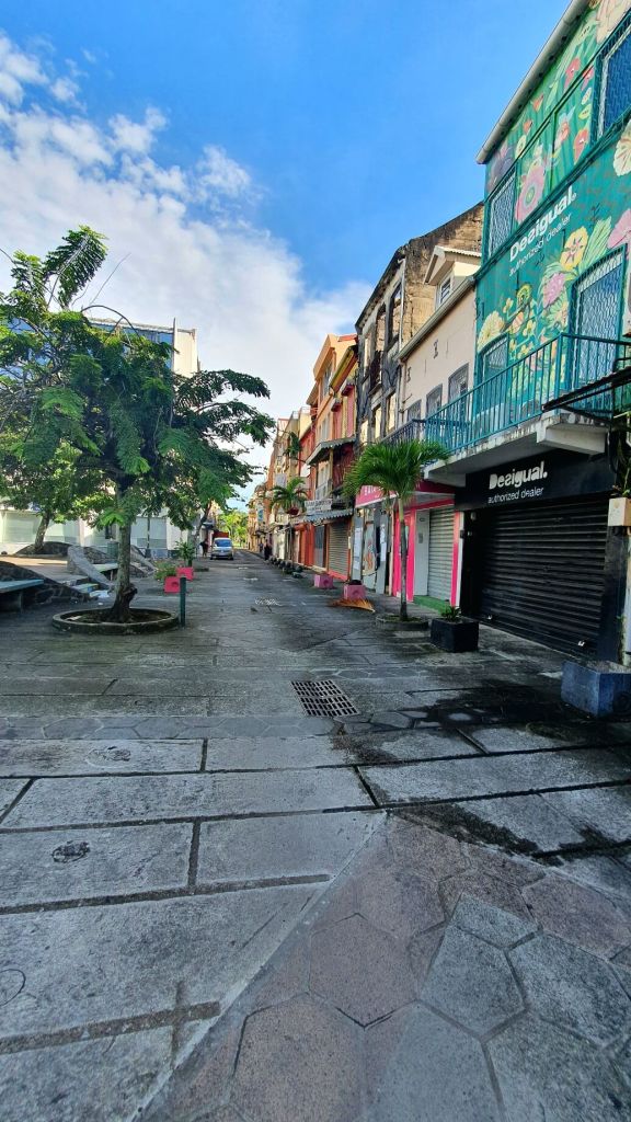 Die Innenstadt von Fort de France