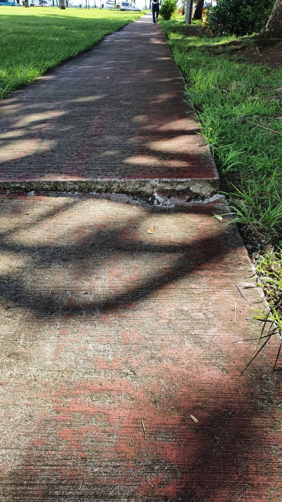 Die Ursache des Sturzes