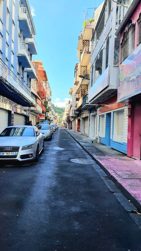 Die Innenstadt von Fort de France