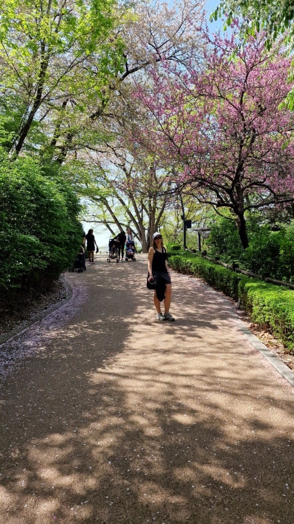 Beginn der Wanderung zum Seoul Tower zur Kirschblüte